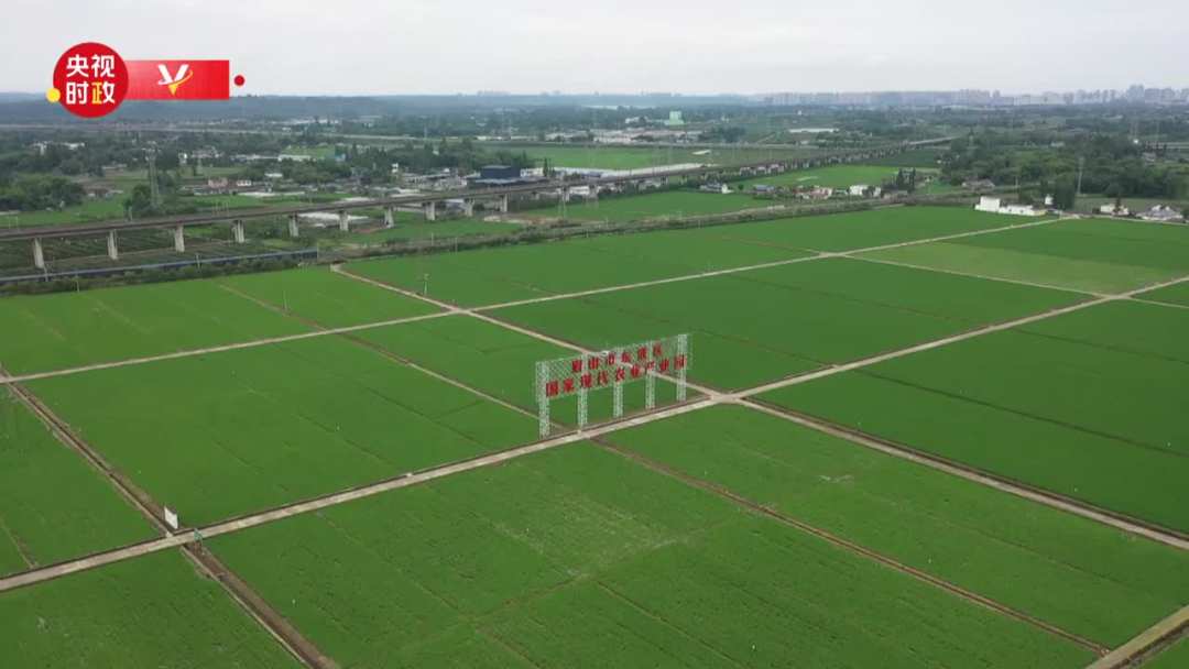 四川眉山市考察调研