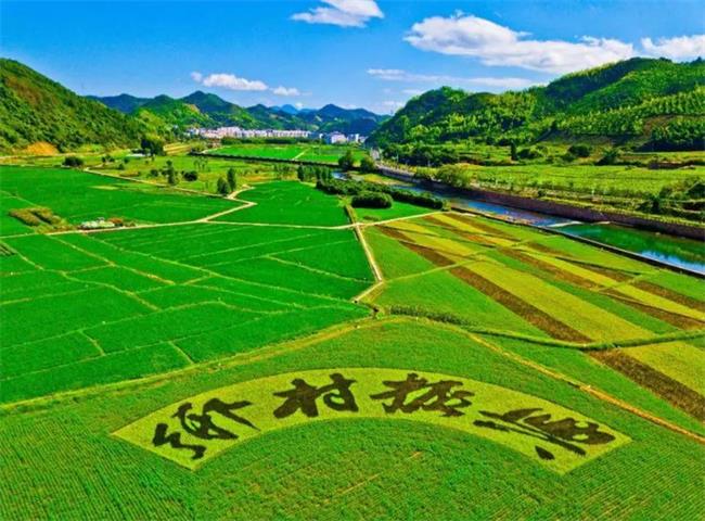 乡村振兴奏响了春天的序曲，2021年期许多多