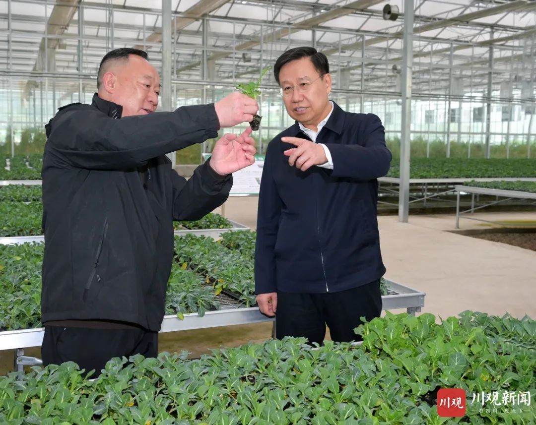 王晓晖在成都市德阳市调研时强调：在更高起点上进一步谋划推动高质量发展，因地制宜发展新质生产力不断塑造新动能新优势