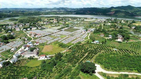 报告推荐 | 农村绿皮书：中国农村经济形势分析与预测（2023~2024）