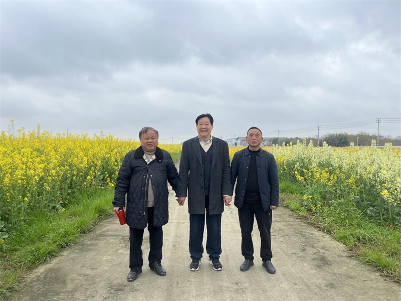 中以田园综合体参观度假正当时